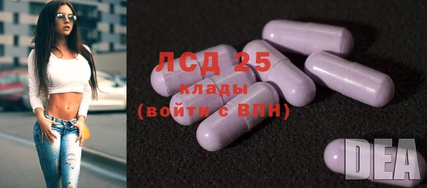 ешки Бронницы