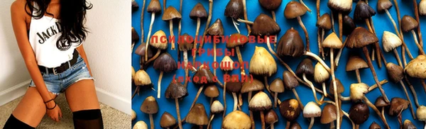 ешки Бронницы